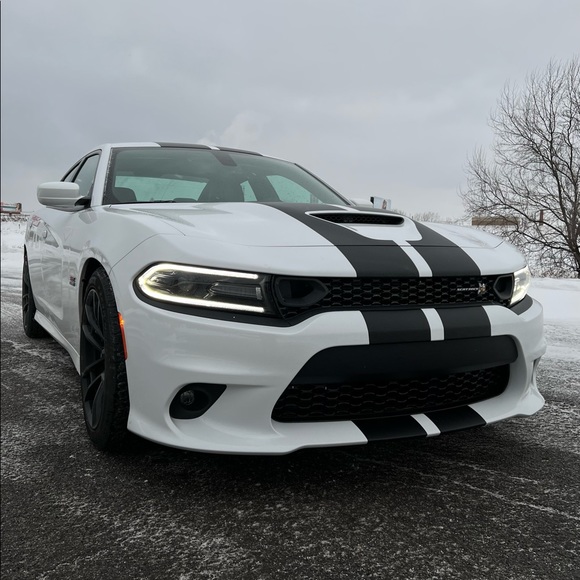 Meet the posher diizelle! - Picture 7 of 9